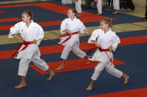 Karatemeisterschaft 2017 Kostprobe (11) 