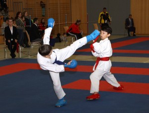 Karatemeisterschaft 2017 Kostprobe (18) Kopie